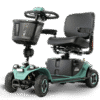 scooters featured cat